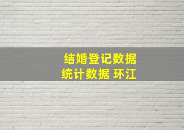 结婚登记数据统计数据 环江